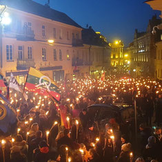 Марш неонацистов в Вильнюсе, 16 февраля, 2019 года / Neo-Nazi March in Vilnius, February 16, 2019